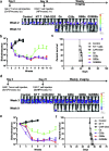 <b>Figure 6.</b>