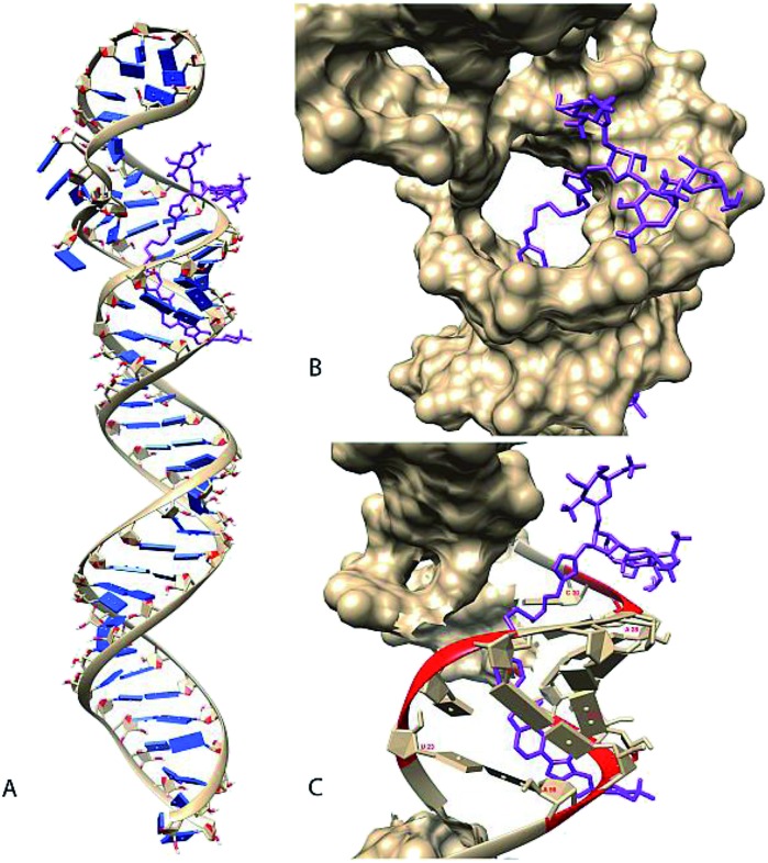 Fig. 4