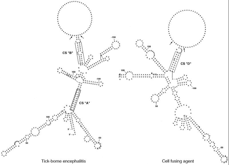 FIG. 5