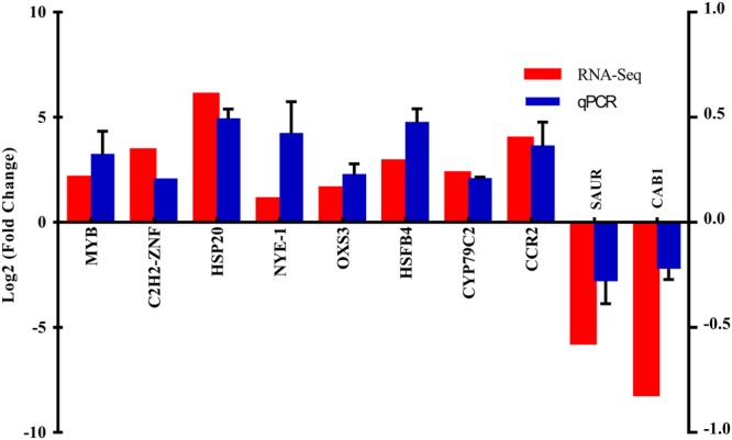 Figure 7