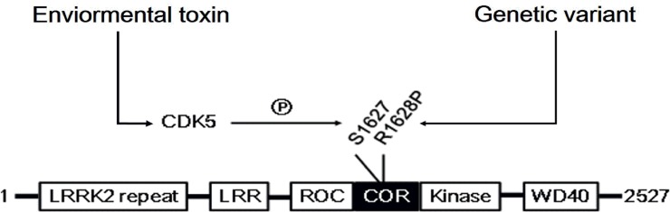 Fig 5