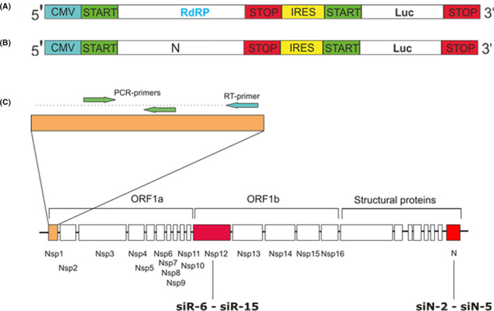 FIGURE 1