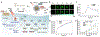 Fig. 10.