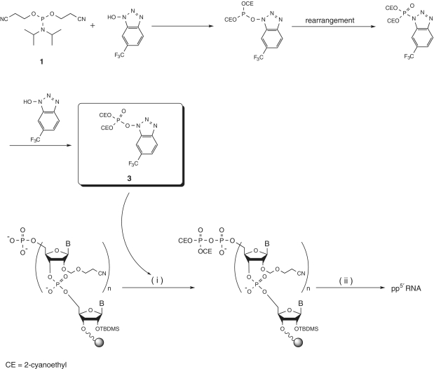 Scheme 2.