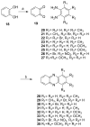 Scheme 4<sup>a</sup>