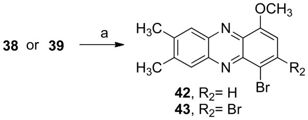 Scheme 6a