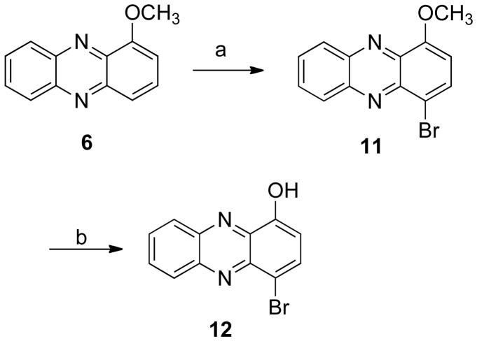 Scheme 2a