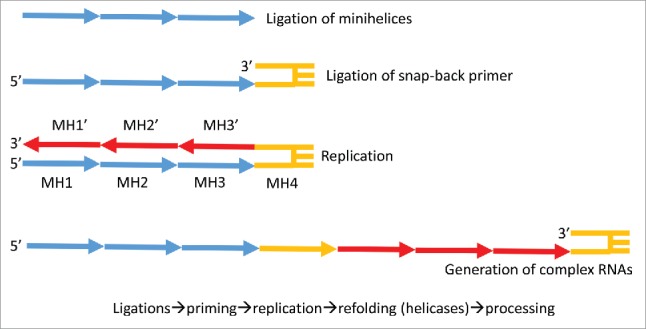 Figure 7.