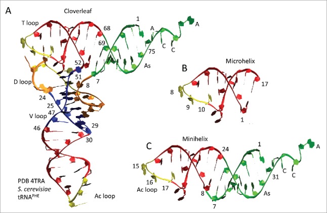 Figure 6.