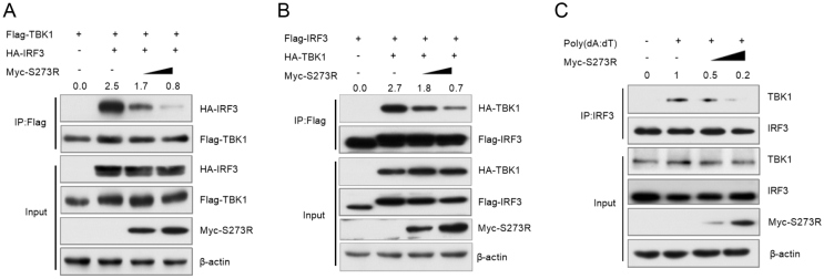 Fig. 5