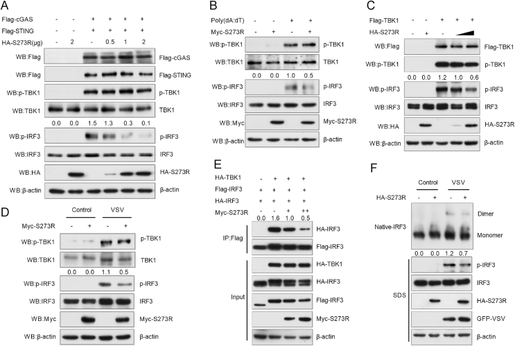 Fig. 3