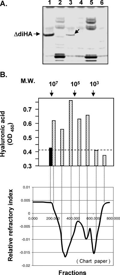 FIG. 7.