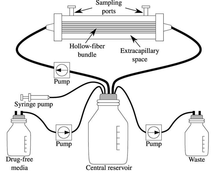 Fig. 1