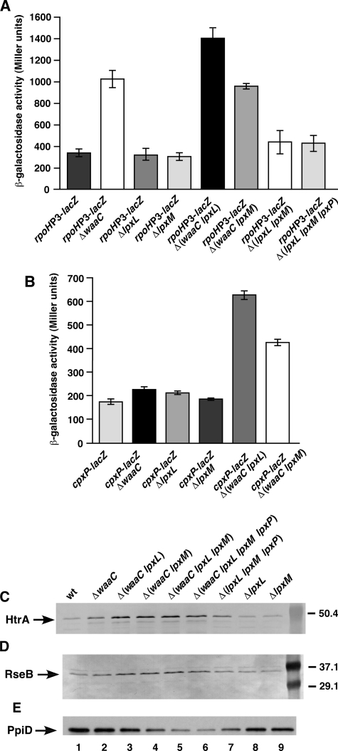 FIGURE 10.