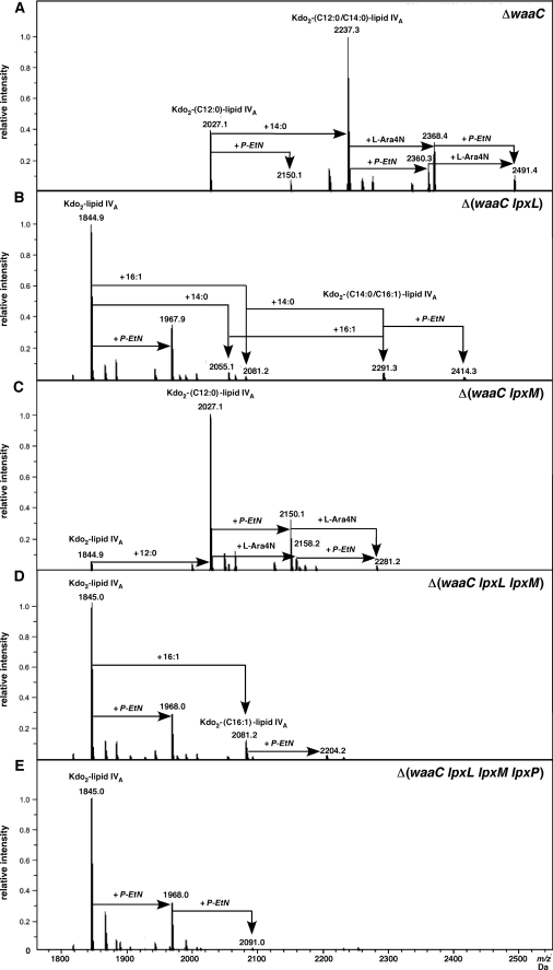 FIGURE 7.