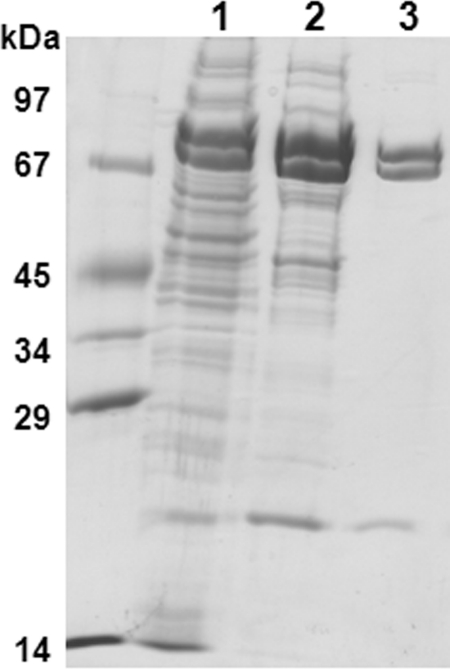 Fig 3