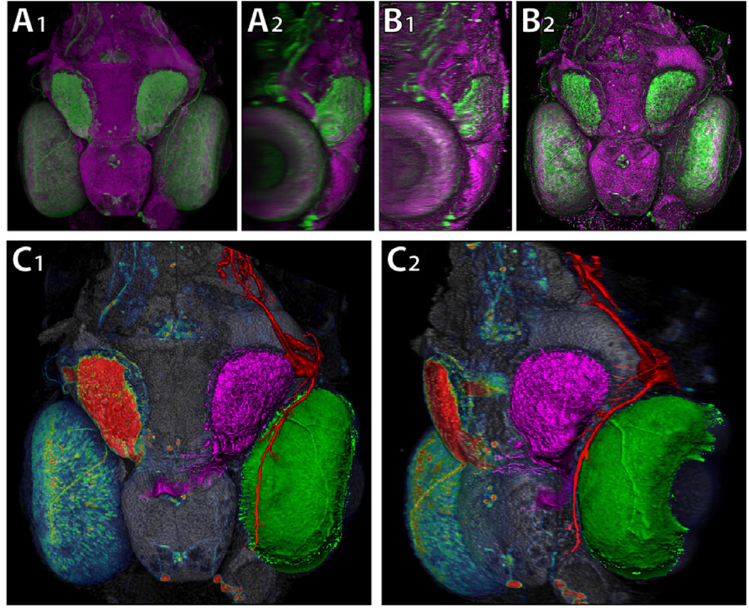 Figure 11