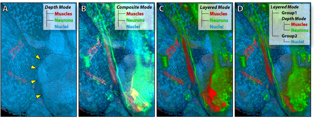 Figure 6