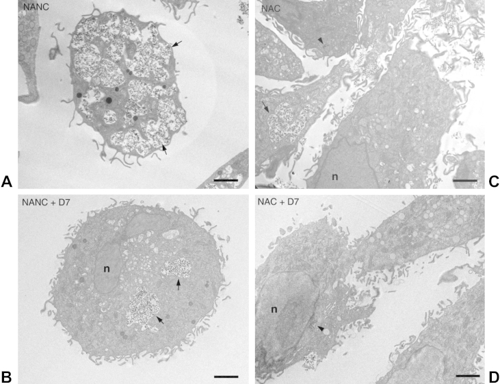 Fig. 6