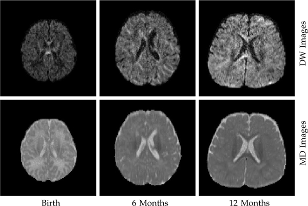 Fig. 1: