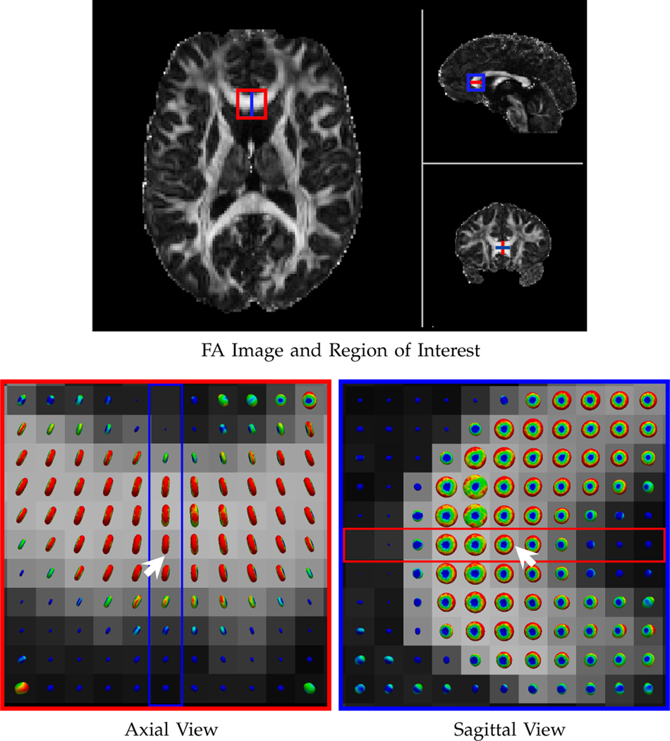 Fig. 6: