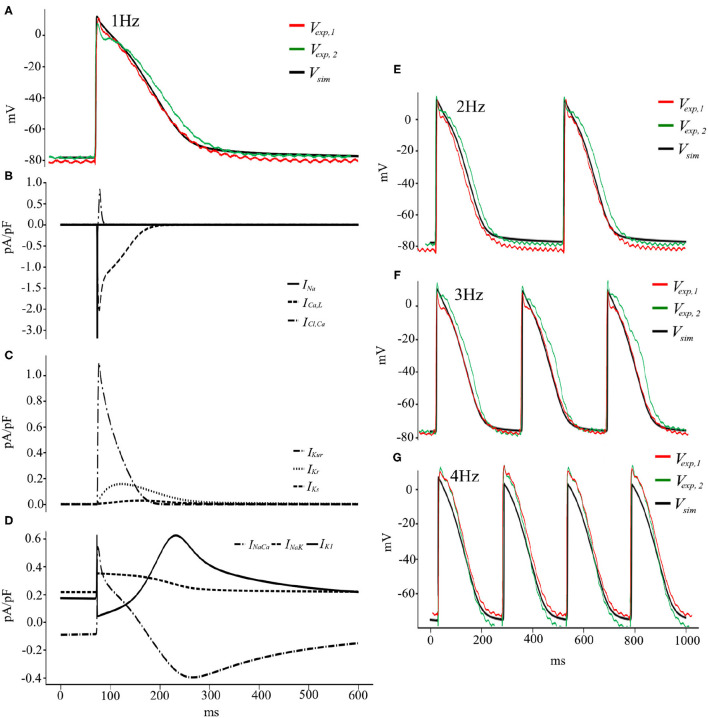 Figure 9