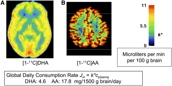 FIGURE 4 