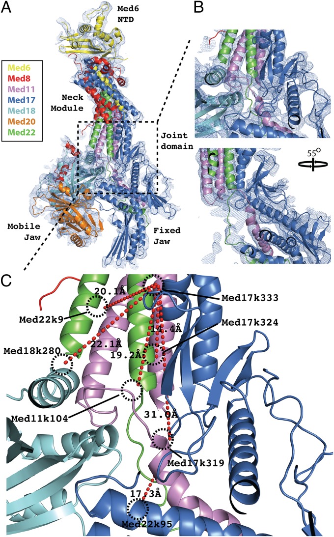 Fig. 1.