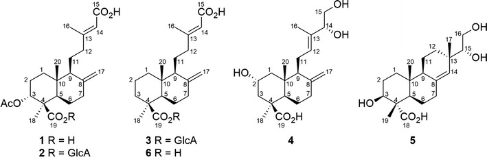 Fig. 1