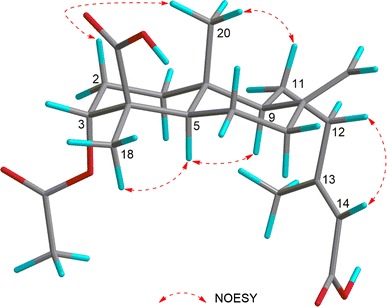 Fig. 3