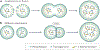 Figure 4 |