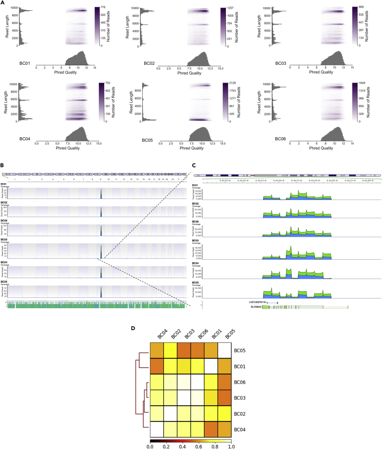 Figure 1