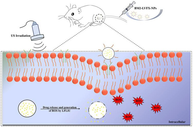 FIGURE 10