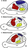 Fig 1.