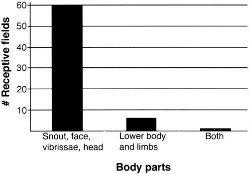 Fig 3.