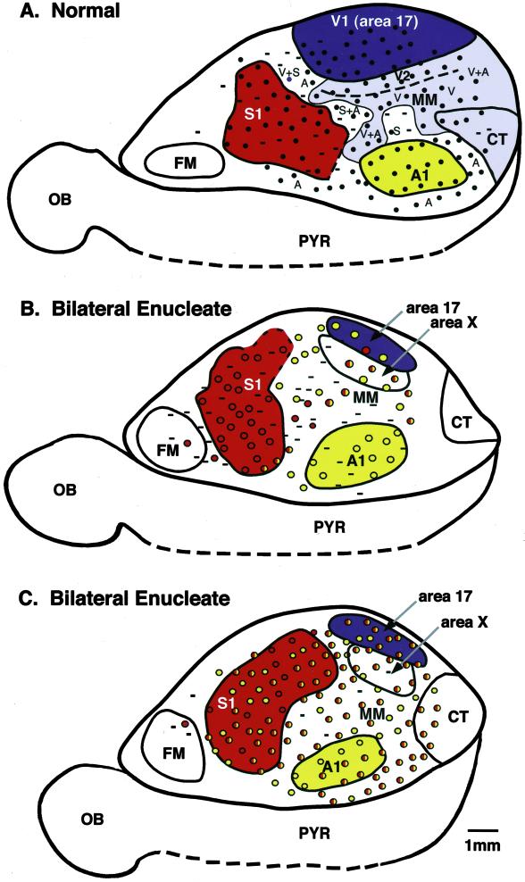 Fig 1.