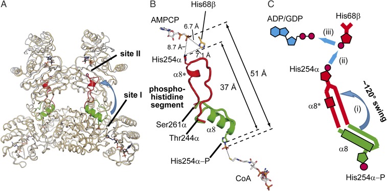 Fig. 4.