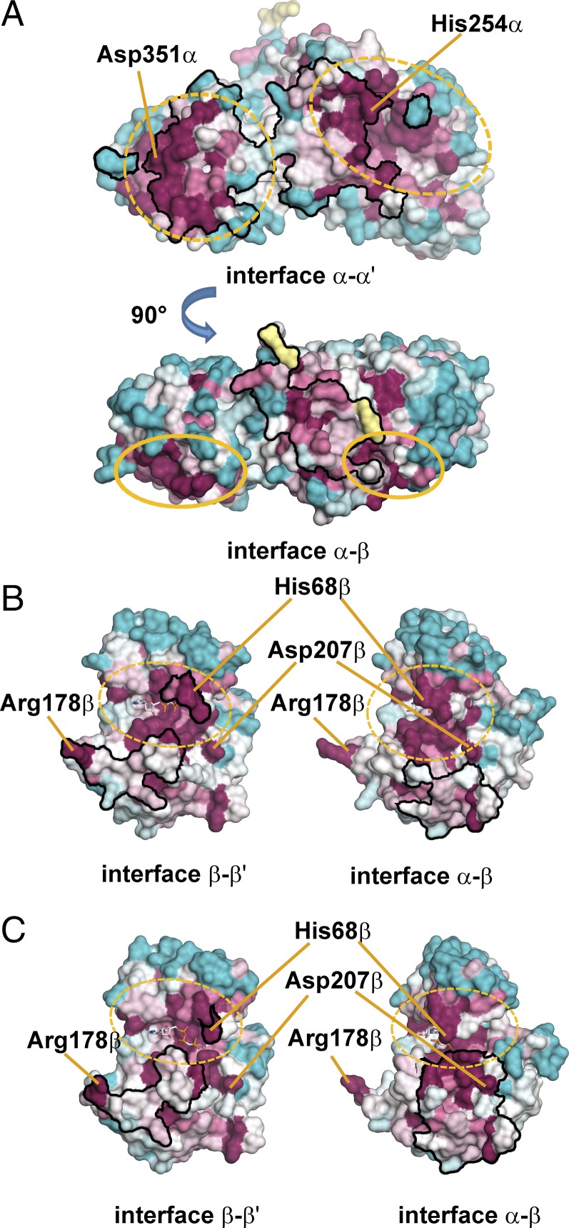 Fig. 6.