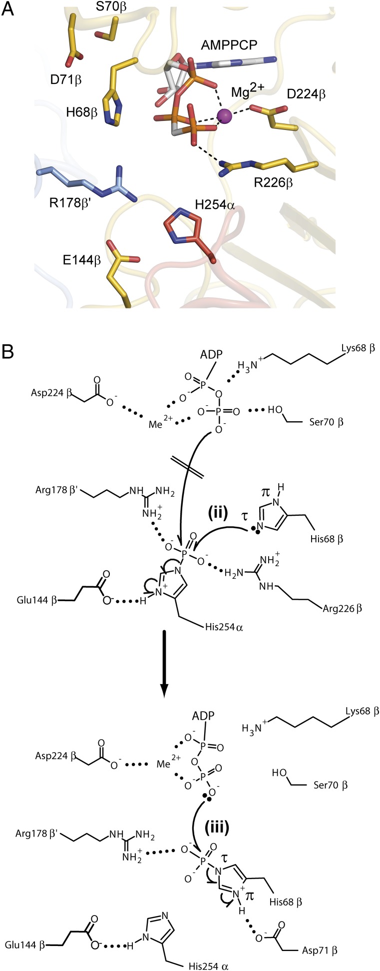 Fig. 5.