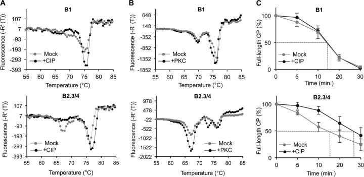 FIG 3