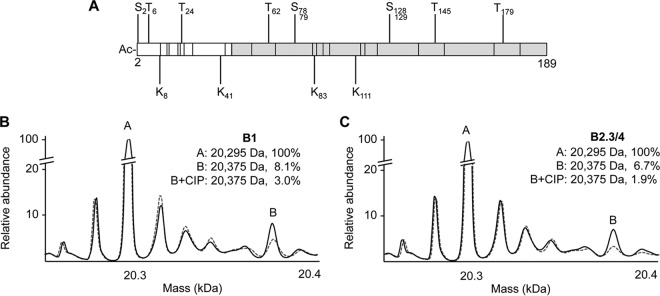 FIG 1