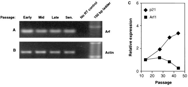 FIG. 8