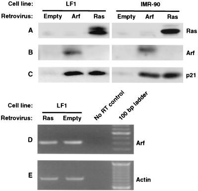 FIG. 6