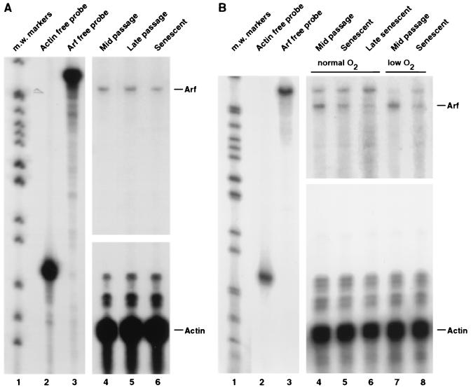 FIG. 9