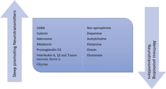 Figure 2: