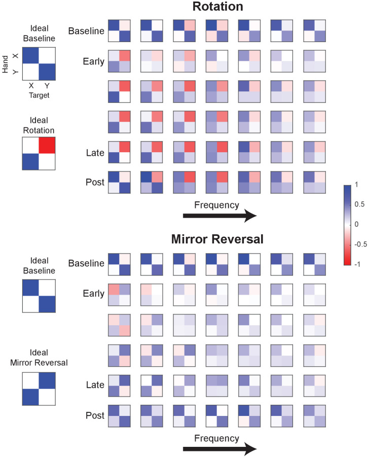 Figure 5—figure supplement 1.