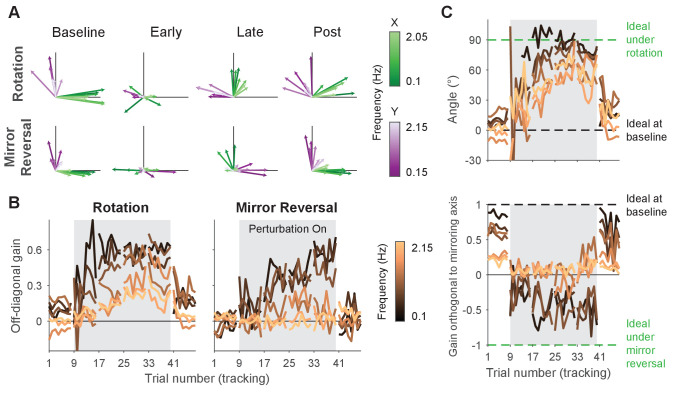 Figure 5—figure supplement 2.