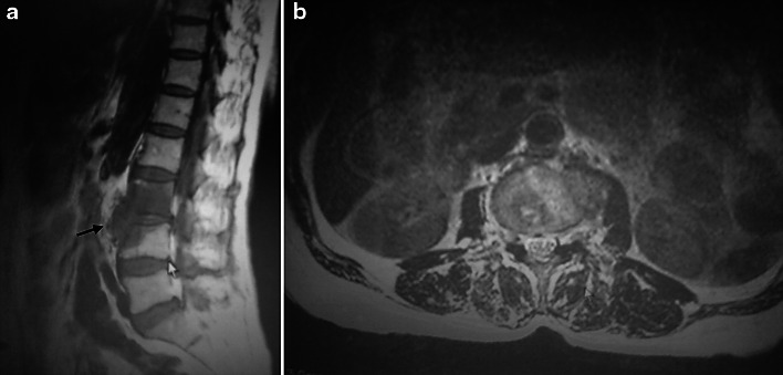 Fig. 3