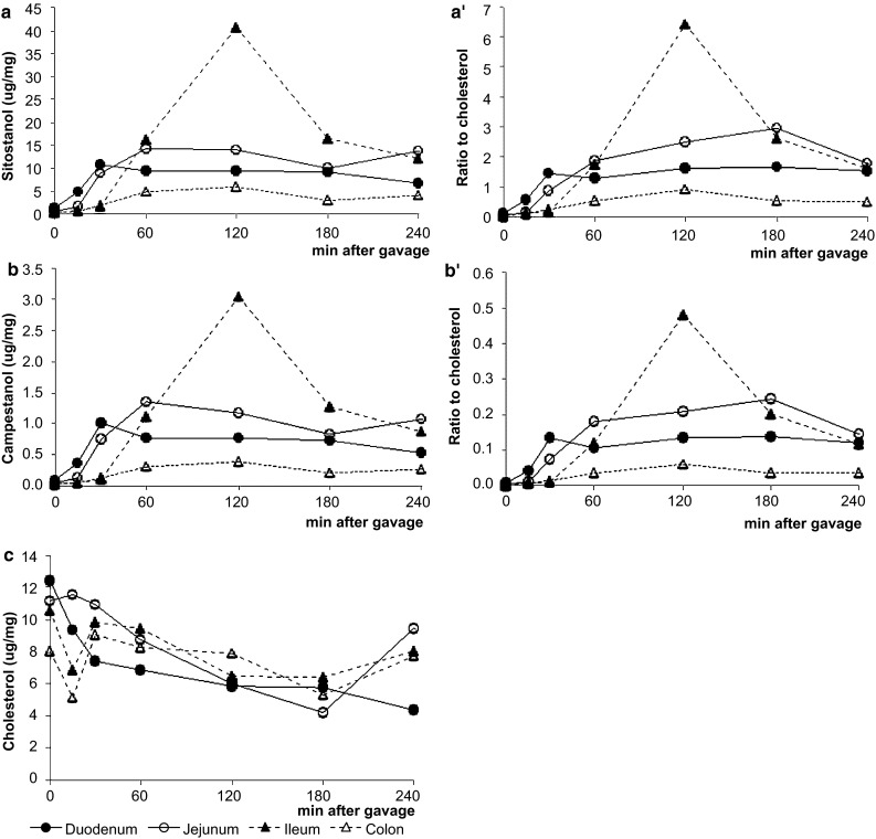 Fig. 1