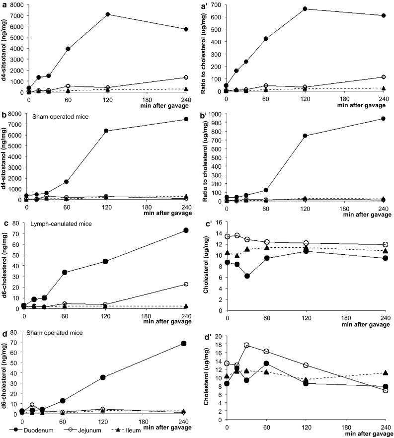 Fig. 2